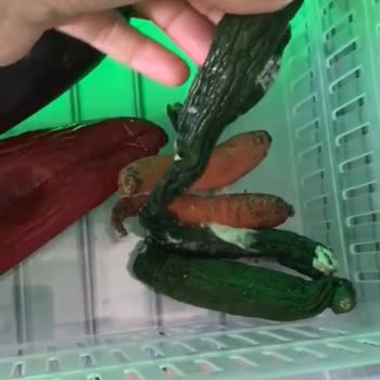 Arçelik Buzdolabında Süregelen Soğutma Sorunu Ve Yetersiz Teknik Servis Deneyimi