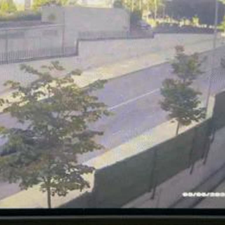 Sompo Haksız Kusur Oranı ve Sigorta Şirketinin Etkisi