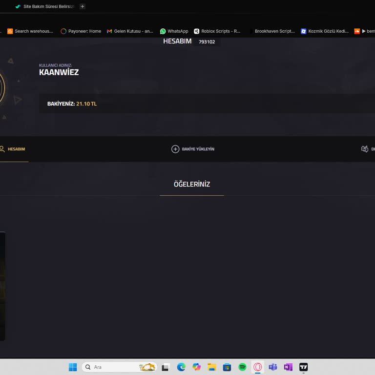 Satın Aldığım Hesaba Giriş Yapılamıyor, Mağduriyet Yaşıyorum