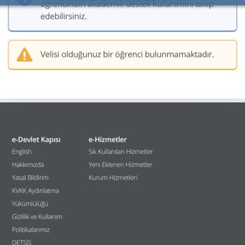 Yabancı Uyruklu Velilere E-Devlet Üzerinden Çocuk Velayeti Görüntüleme Sorunu