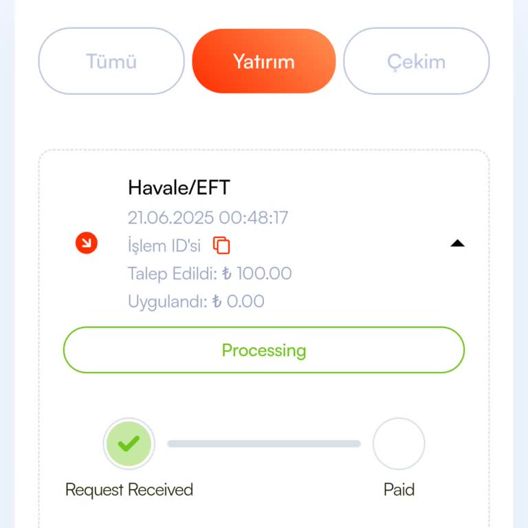 Yatırım Sonrası Paramın İadesi Yapılmadı