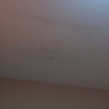 İstanbul Prefabrik Merkezi'nden Memnun Kalmadım