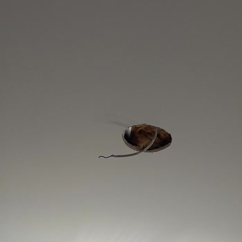 İstanbul Prefabrik Merkezi'nden Memnun Kalmadım