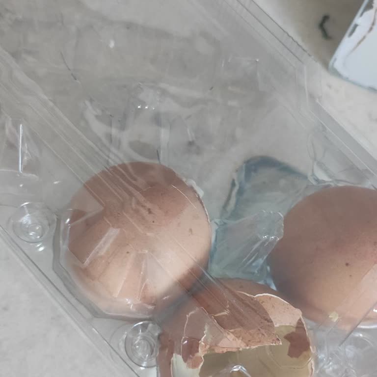 Tarım Kredi Kooperatiflerinden Aldığım Ürünler Bozuk Çıkıyor