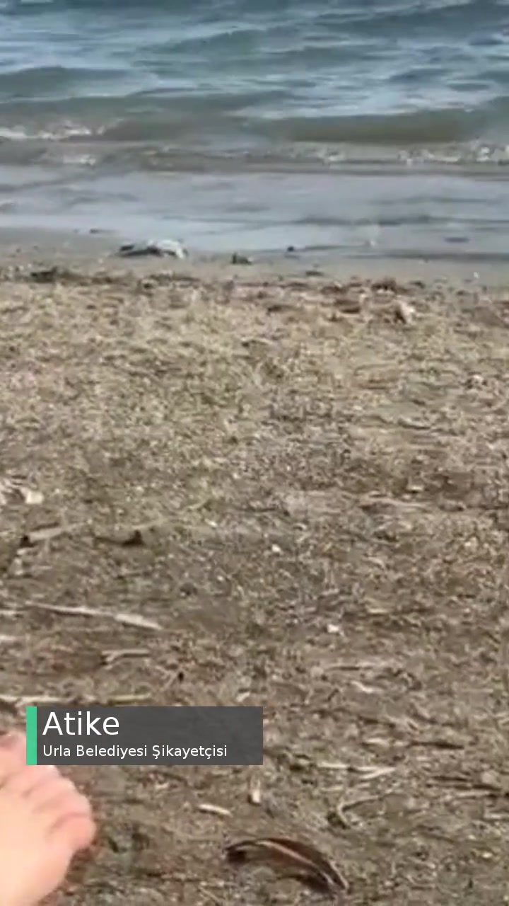 Urla Belediyesi Hizmet Kalitesi Ve Çevre Kirliliği videonun kapak resmi