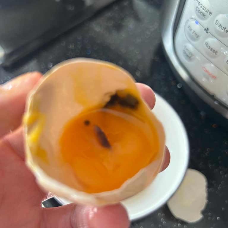 Getir Büyük'ten Alınan Gezen Tavuk Yumurtalarının Bozuk Çıkması