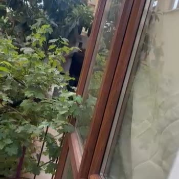 Arçelik Buzdolabında Sürekli Soğutma Sorunu Ve İlgisiz Servis