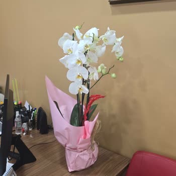 Yanlış Ve Solmuş Ürün, Kötü Müşteri Temsilcisi Deneyimi