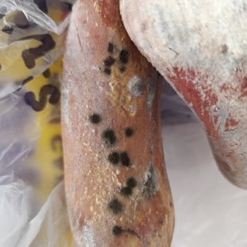 Aldığım Sucuğun Beklenmedik Şekilde Bozulması Ve Şube İlgisizliği