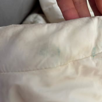 Lacoste Mont İadesinde Yaşanan Karmaşa Ve Mağduriyet