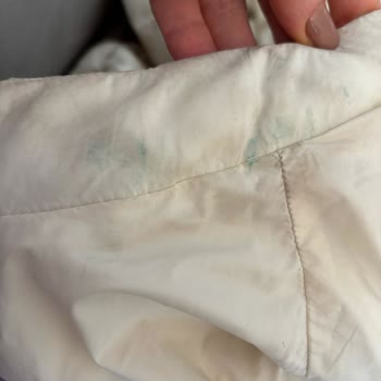 Lacoste Mont İadesinde Yaşanan Karmaşa Ve Mağduriyet