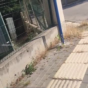 Etimesgut Belediyesi Otlar Ve Çocuk Parkı