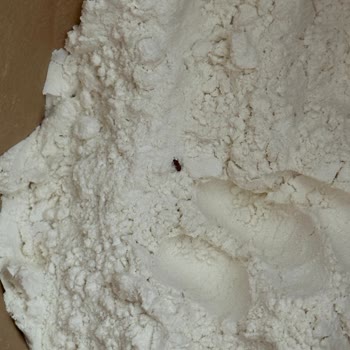 A101 Un Ürününde Böceklenme Ve Fiş Olmadan Değişim Sorunu