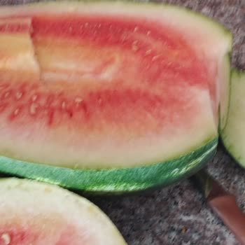 Migros Hemen'den Aldığım Karpuzun Değişimi İçin Kimse İlgilenmiyor