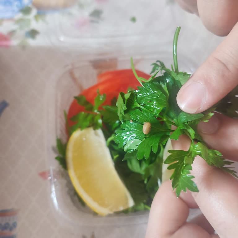 Eksik Ürün Ve Hijyen Sorunu: Böcekli Garnitür Şoku