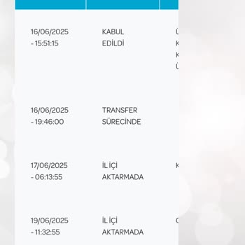 Kargo Teslimatında Gecikme Ve Canlı Bitki Zarar Gördü