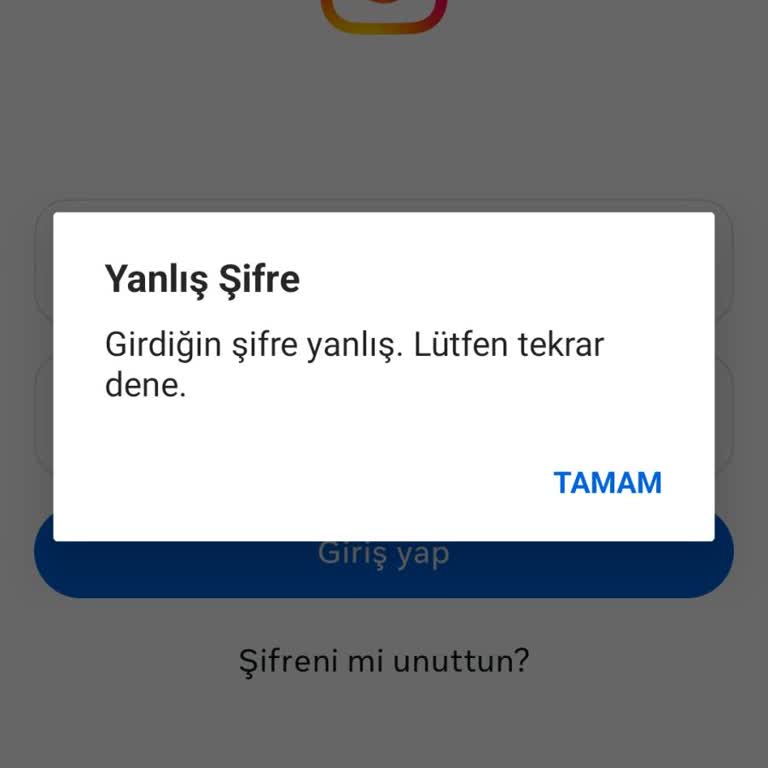 Instagram Hesabına Girişte Şifre Sorunu Ve Hesaba Erişememe