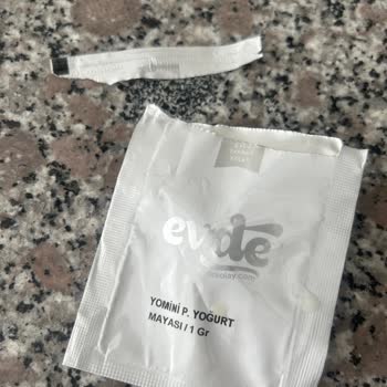 Evdekolay Probiyotik Yoğurt Mayası Tutmadı