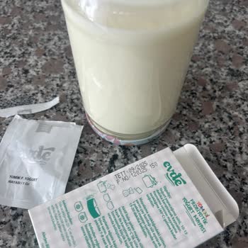 Evdekolay Probiyotik Yoğurt Mayası Tutmadı