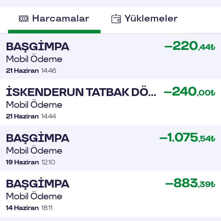 Bana Ait Olmayan 240 TL Tutarındaki Harcamanın İadesini İstiyorum