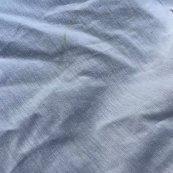 Philips Ütüde Yanma Sorunu Ve Yetkili Servis Mağduriyeti