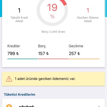 Findeks'te Kapanan Kredimin Hatalı Gecikme Kaydı Sicilimi Olumsuz Etkiliyor