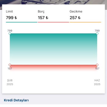 Findeks'te Kapanan Kredimin Hatalı Gecikme Kaydı Sicilimi Olumsuz Etkiliyor