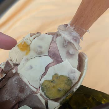 Aldığım Magnum Mini Bozuk Çıktı, Kalite Düşüşü Hayal Kırıklığı Yarattı