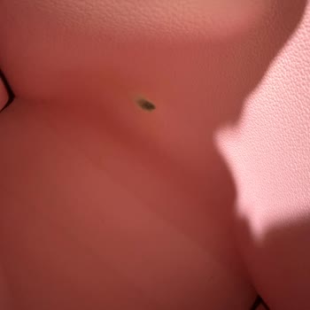 Louis Vuitton Çantada Deformasyon Ve Yetersiz Müşteri Hizmeti Hayal Kırıklığı