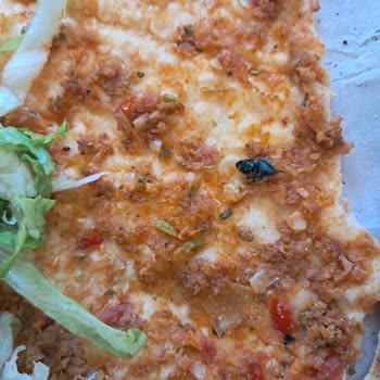 Öz Lider Karadeniz Pide İstanbul Mağduriyet Yaşama