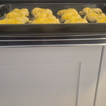 Aldığım Ankastre Fırında Eksik Parça Ve Servis Sorunu