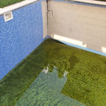 İstanbul Havuz Sistemleri Havuz Yapımında Sürekli Arıza Ve İlgisizlik Mağduriyeti