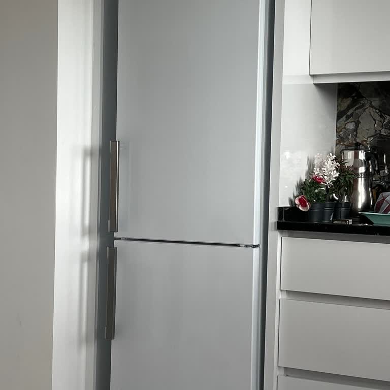 Yanlış Model Buzdolabı Teslimatı Ve Mağduriyet