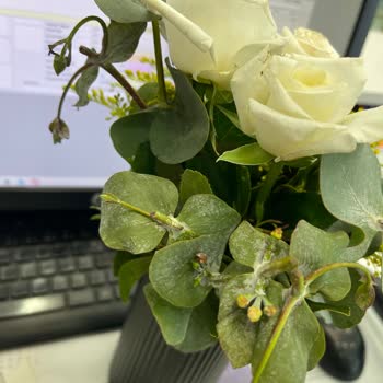 Çürümüş Çiçekler Ve Çözülmeyen Sorun