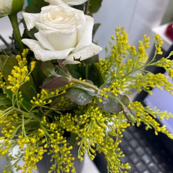 Çürümüş Çiçekler Ve Çözülmeyen Sorun