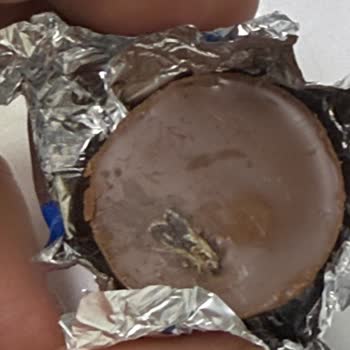 Çikolatanın İçinden Sinek Kalıntısı Çıkmasıyla Yaşanan Hijyen Sorunu