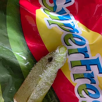 Superfresh Dondurulmuş Bamya Hayal Kırıklığı: Sararmış, Lekeli Ve Kurtlu Ürün