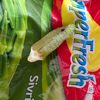 Superfresh Dondurulmuş Bamya Hayal Kırıklığı: Sararmış, Lekeli Ve Kurtlu Ürün
