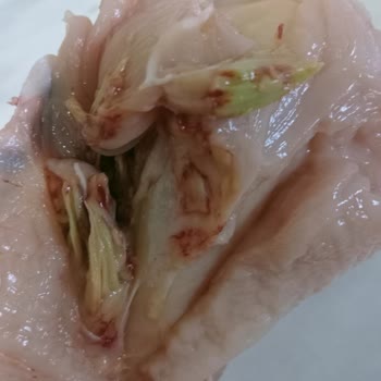 BİM Aldığım Tavuk Ürünü Bozuk Çıktı, Gıda Güvenliği Endişesi Yaşıyorum