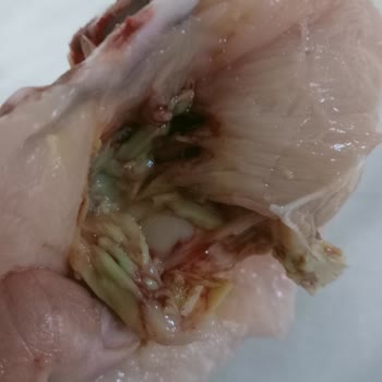 BİM Aldığım Tavuk Ürünü Bozuk Çıktı, Gıda Güvenliği Endişesi Yaşıyorum