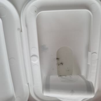 Yenidoğan Bebekler İçin Aldığım Islak Mendiller Küflü Çıktı