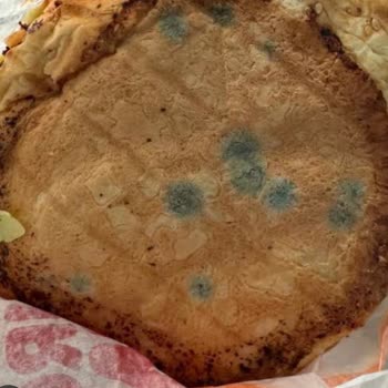 Küflü Ekmek Sonrası İade Sözü Tutulmadı Mağduriyetim Giderilmedi