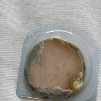 Son Kullanma Tarihi Geçmemiş Namet Hindi Füme Küflenmiş Çıktı