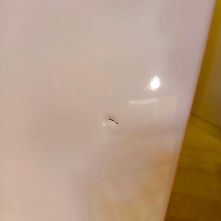 Vestel'den Satın Aldığım Beyaz Eşyaların Teslimat Ve Servis Sürecinde Yaşanan Ciddi Sorunlar