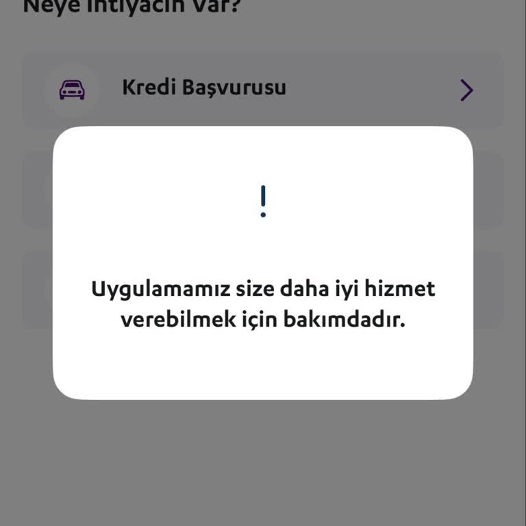 ALJ Pay Uygulamasının Uzun Süreli Bakımda Olması Kredi Takibimi Engelliyor