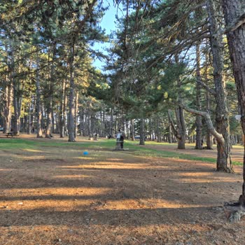 Bursa Büyükşehir Belediyesi Kocayayla'da Kamp Alanı ve Hizmet Bedeli Hayal Kırıklığı