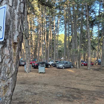 Bursa Büyükşehir Belediyesi Kocayayla'da Kamp Alanı ve Hizmet Bedeli Hayal Kırıklığı