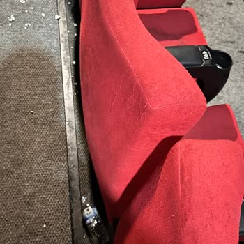 Sinema Salonunda Temizlik ve Denetim Sorunu