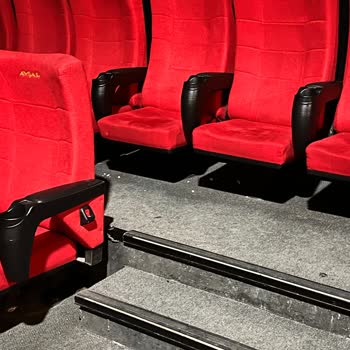 Sinema Salonunda Temizlik ve Denetim Sorunu