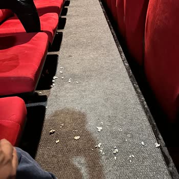 Sinema Salonunda Temizlik ve Denetim Sorunu